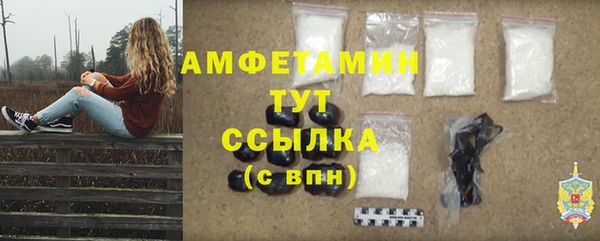 ECSTASY Дмитриев