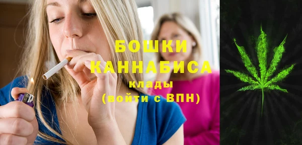 стафф Заволжье