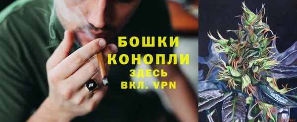 стафф Заволжье
