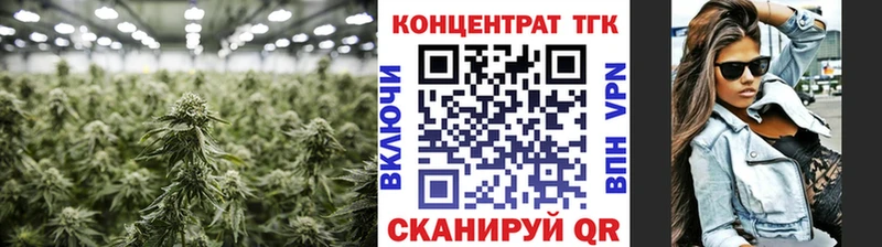 Купить закладки  Комсомольск  ТГК THC oil 