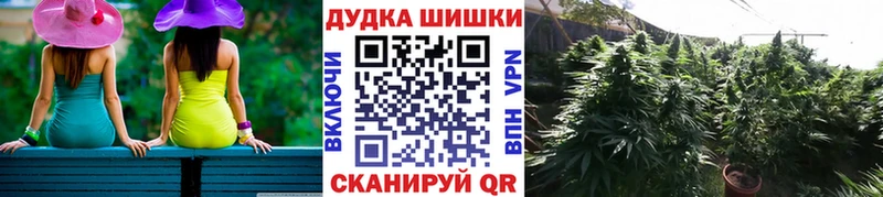 Купить где  Комсомольск  Бошки марихуана OG Kush 